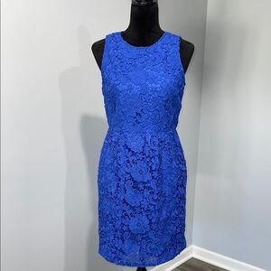 J.Crew Elegant Blue Lace Dress size 6 sheath style floral pattern lace NEW